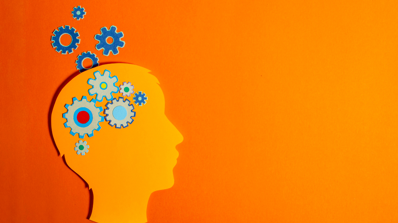 Capability Building and Knowledge Sharing