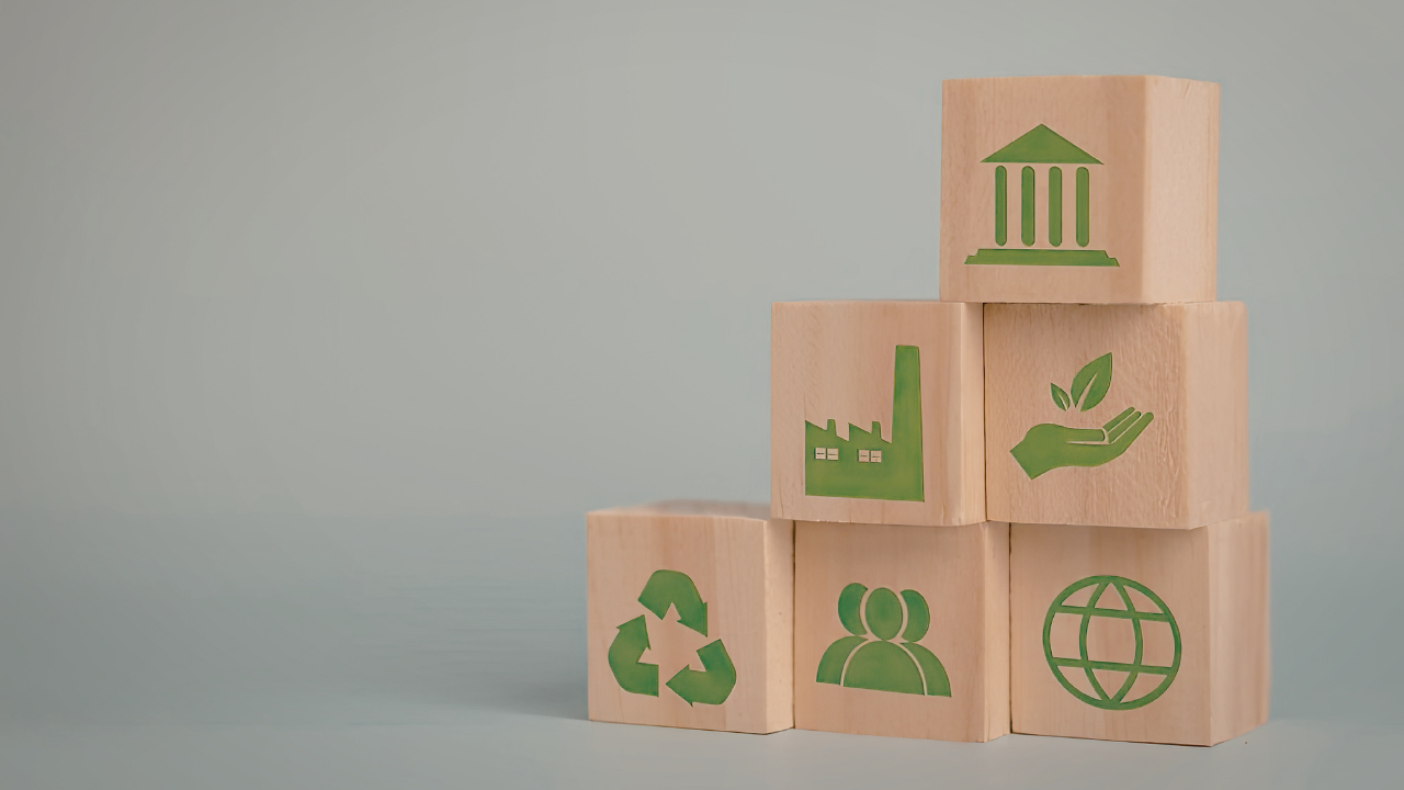 Promoting Sustainable Products